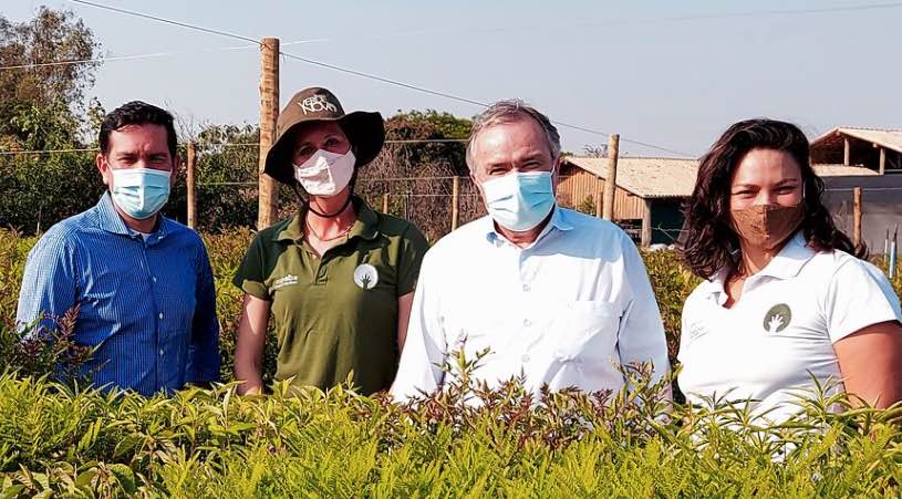 noticias maquinaria Jungheinrich Brasil intralogística verde