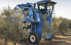 noticias maquinaria New Holland Braud 9090X Olivar en Demo Olivo