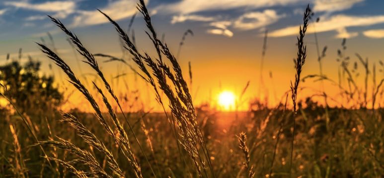 noticias maquinaria sima TECH&BIO