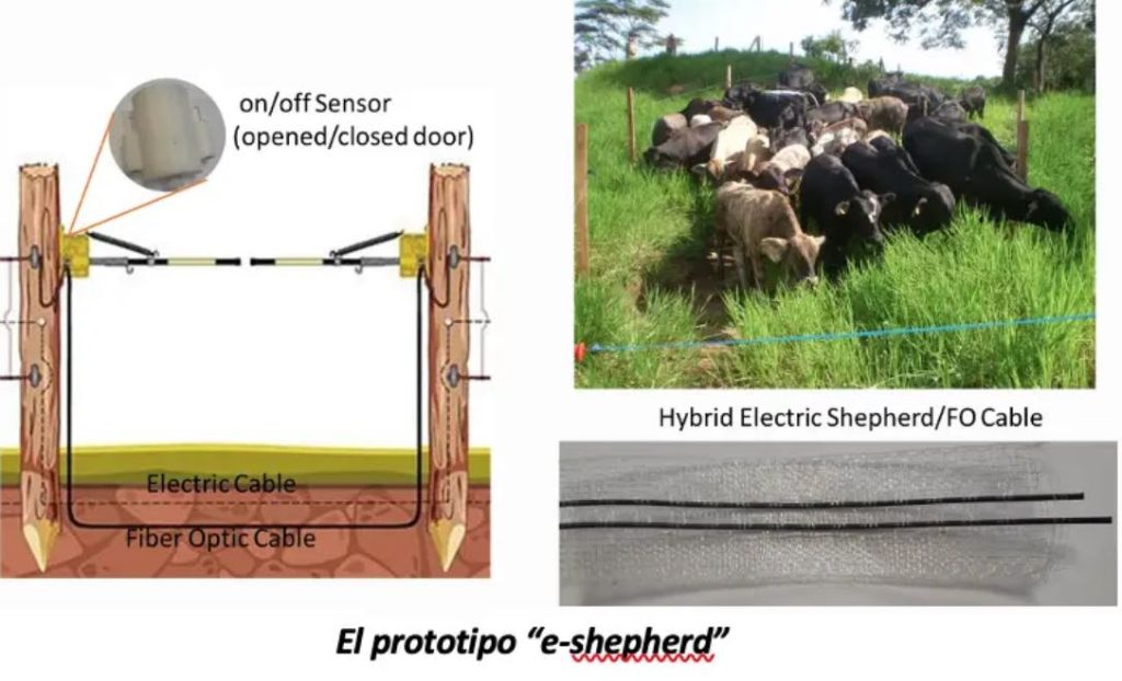 noticias maquinaria CINPASA presenta el prototipo “e-shepherd”para aplicaciones agrícolas