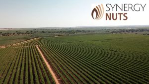 noticias maquinaria FEDE participa en Synergynuts