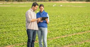 noticias maquinaria Timac Agro en Expoliva