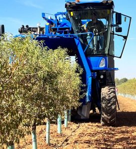 noticias maquinaria Recolección mecanizada con la Multi 11.90x de New Holland