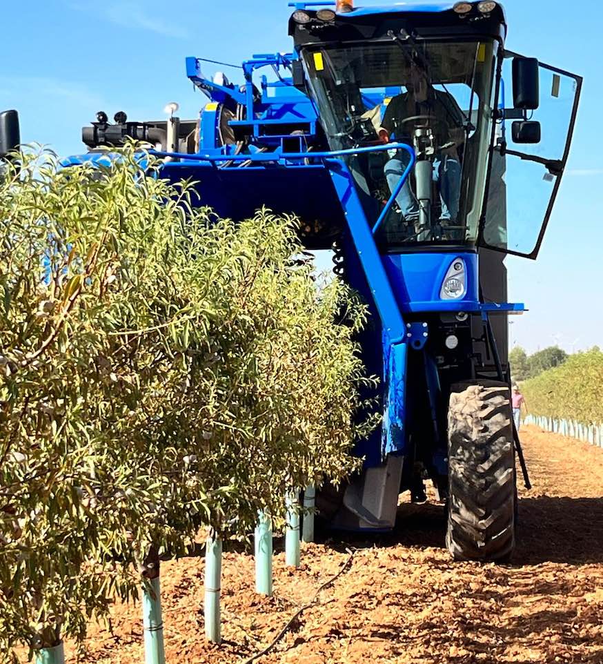 noticias maquinaria Recolección mecanizada con la Multi 11.90x de New Holland