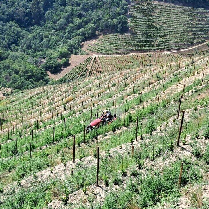 noticias maqunaria El tractor Yanmar YM359 popular en el mercado portugués