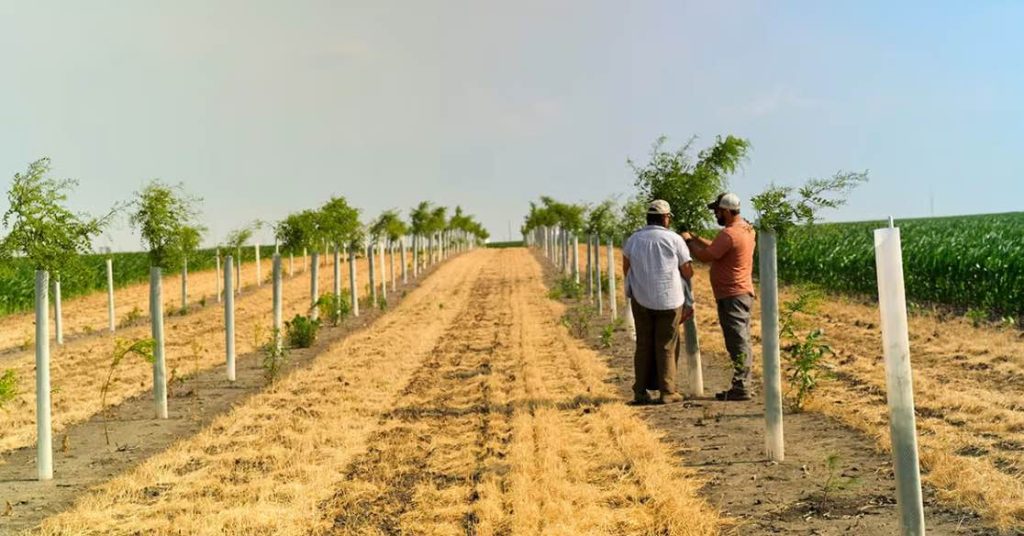 noticias maquinaria La Fundación John Deere anuncia subvenciones