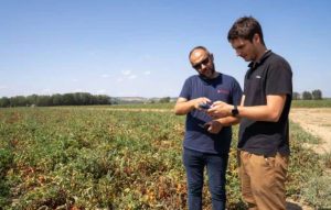 noticias maquinaria Tomato Farm elige RINA y xFarm Technologies