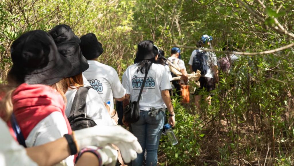 noticias maquinaria FPT Industrial contribuye a la conservación ambiental