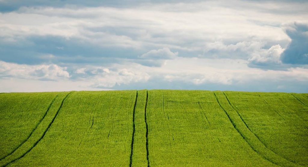 noticias maquinaria Agricultura de carbono en la UE