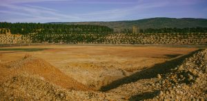 noticias maquinaria ANEFA liderará un nuevo proyecto de materias primas