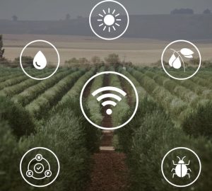 noticias maquinaria MASUR Agro, eficiencia en el cultivo del olivar