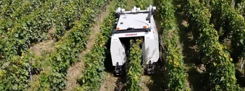 noticias maquinaria Yanmar Vineyard Solutions y Maison Moët & Chandon