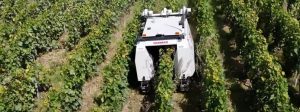 noticias maquinaria Yanmar Vineyard Solutions y Maison Moët & Chandon