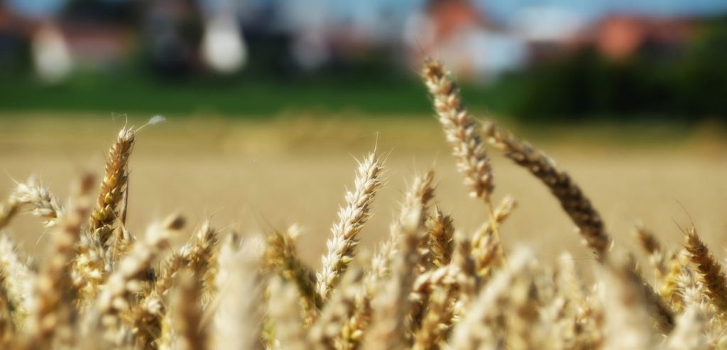 noticias maquinaria Digitalización Agrícola