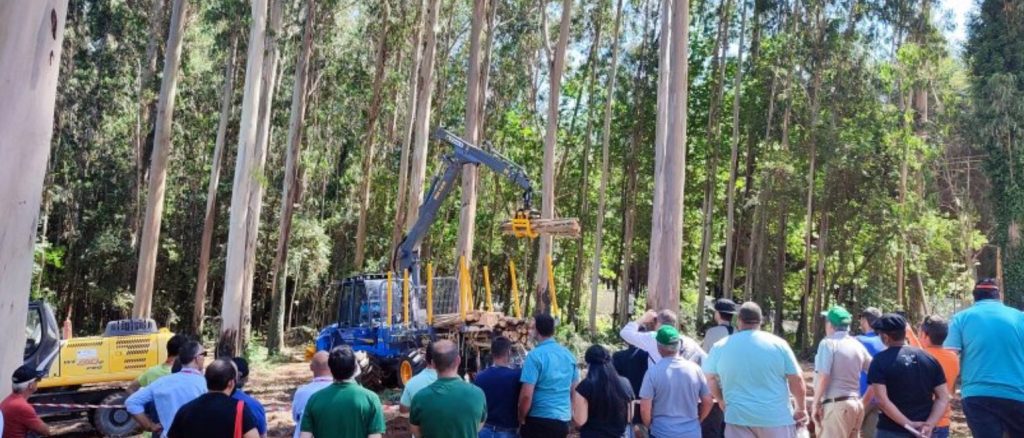 noticias maquinaria Galiforest Abanca