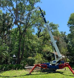 noticias maquinaria Nueva Sucursal de Palazzani North America