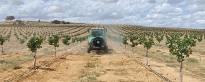 noticias maquinaria Agróptimum y Pulverizadores Fede en los cultivos de pistacho