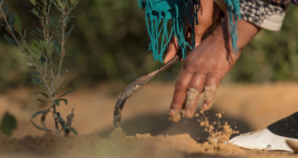 noticias maquinaria CNH y Oxfam colaboran en importantes proyectos sociales