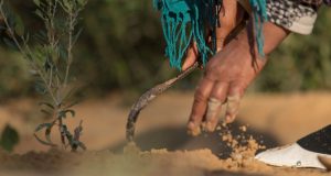 noticias maquinaria CNH y Oxfam colaboran en importantes proyectos sociales