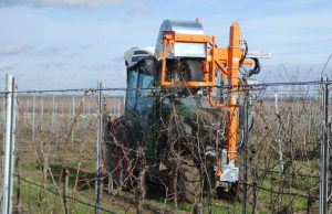 noticias maquinaria La máquina SVC de Rinieri para viñas Guyot