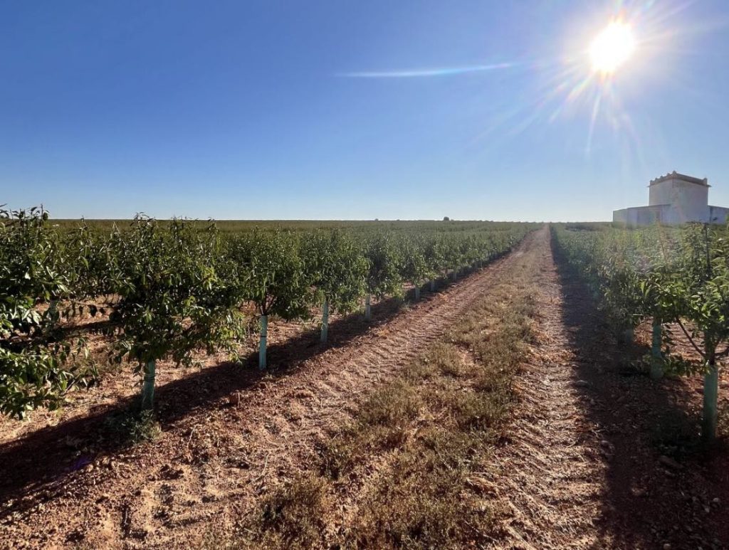 noticias maquinaria New Holland Spain gestión de huerto