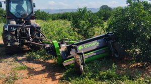 noticias maquinaria CATMAN FRESH apuesta por la desbrozadora de Osmaq