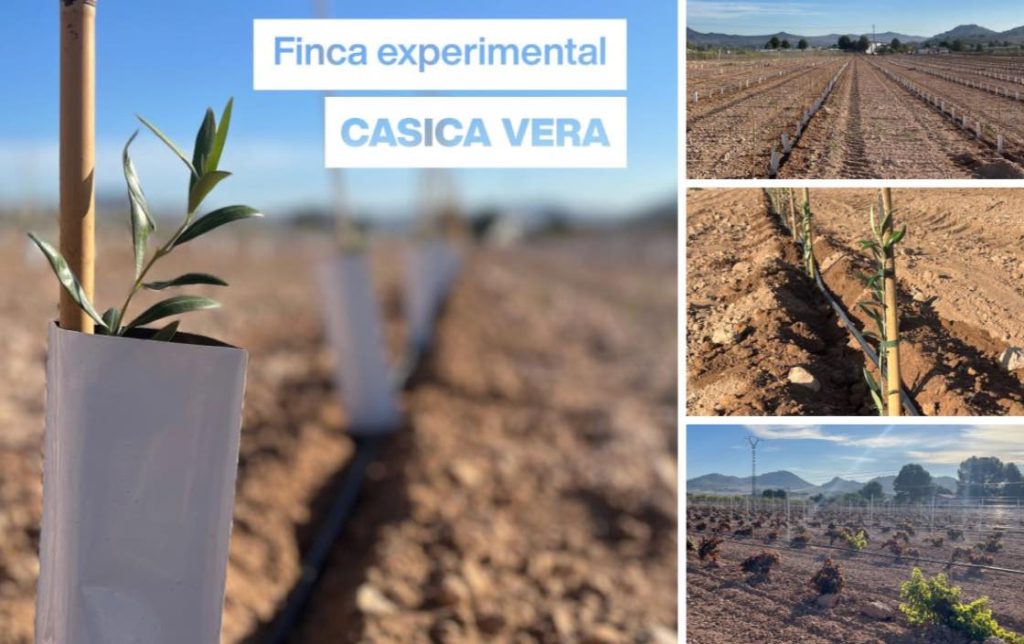 noticias maquinaria ID DAVID impulsa el futuro del agro en su Finca Experimental