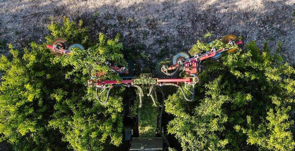 noticias maquinaria Nuevo Kit de desinfección en las prepodadoras de ID David