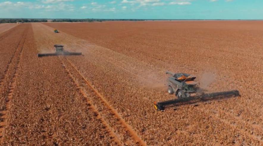 noticias maquinaria La Fendt IDEAL 9T marca la diferencia en Coggan Farms