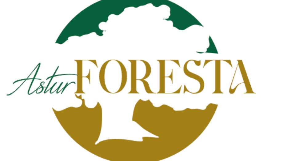 noticIas maquinaria Tineo se convierte en escaparate internacional del sector forestal