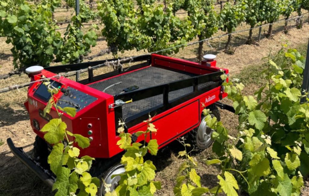 noticias maquinaria AG-GROUP con el robot ADAM 800 de Kisui recorriendo viñedos
