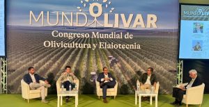 noticias maquinaria Kubota apuesta por el Olivar Español