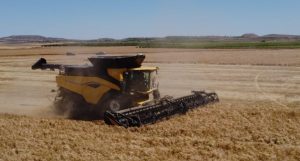 noticias maquinaria Las primeras New Holland CR11 debutan en los campos de España