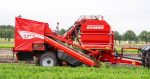 GRIMME presenta su cosechadoras de hortalizas NAVO 140