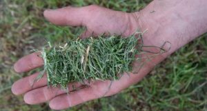 noticias maquinaria KUHN lanza un sistema de corte fino para rotoempacadoras VBP 7100