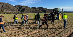 Primera demostración en España de Ullmanna por AG-GROUP Noticias Maquinaria
