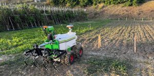 noticias maquinaria AG-GROUP  participa en la demostración del robot Oz en la Estación Experimental Agrària de Llutxent.