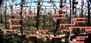 AG Group y EdenCore acuerdan distribuir VIEWER en España y Portugal Noticias Maquinaria