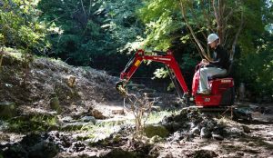 Yanmar CE nombra a Anton Wörmann embajador global de marca Noticias Maquinaria