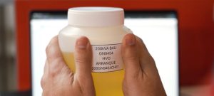 Genesal renueva su certificación ISO 14006 noticias maquinaria