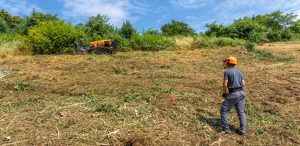 Energreen impulsa una nueva generación de soluciones forestales noticias maquinaria