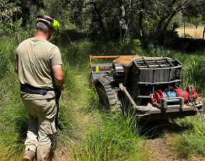 Gestión sostenible espacios naturales Mallorca Energreen Ibérica noticias maquinaria