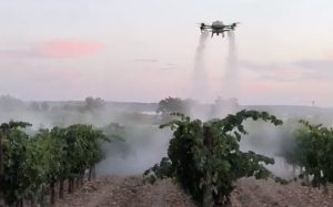 Nextdrone logra aplicaciones de 15 minutos por hectárea en viñedo noticias maquinaria