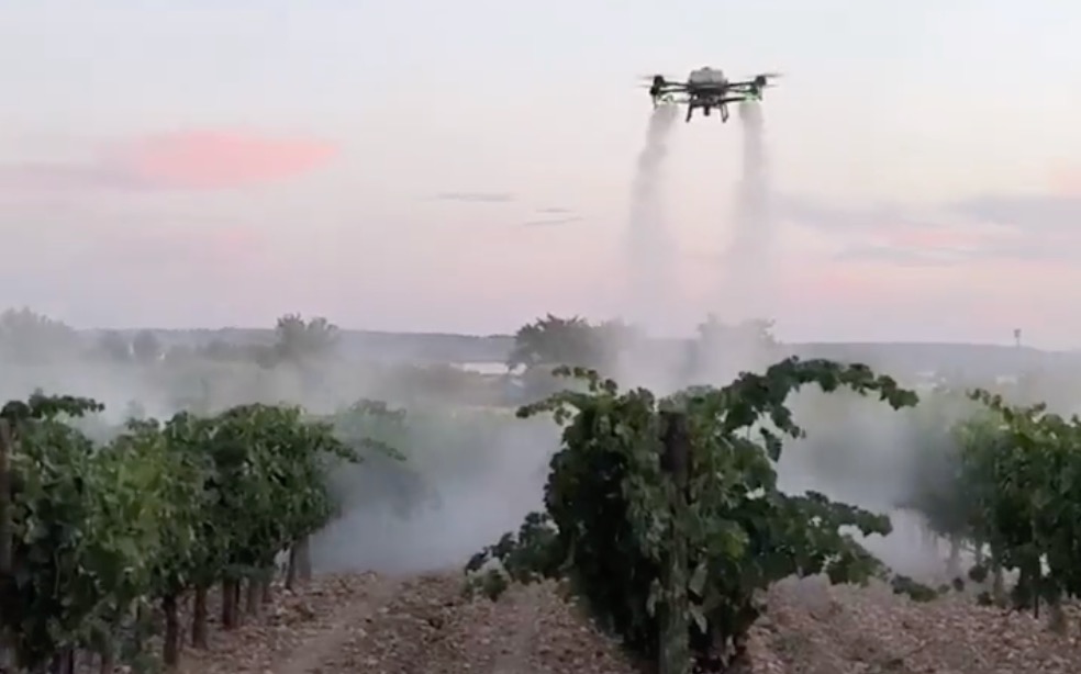 Nextdrone logra aplicaciones de 15 minutos por hectárea en viñedo noticias maquinaria