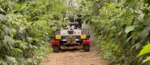 AGROBOT Kiko lleva la automatización a los cultivos de frambuesa noticias maquinaria