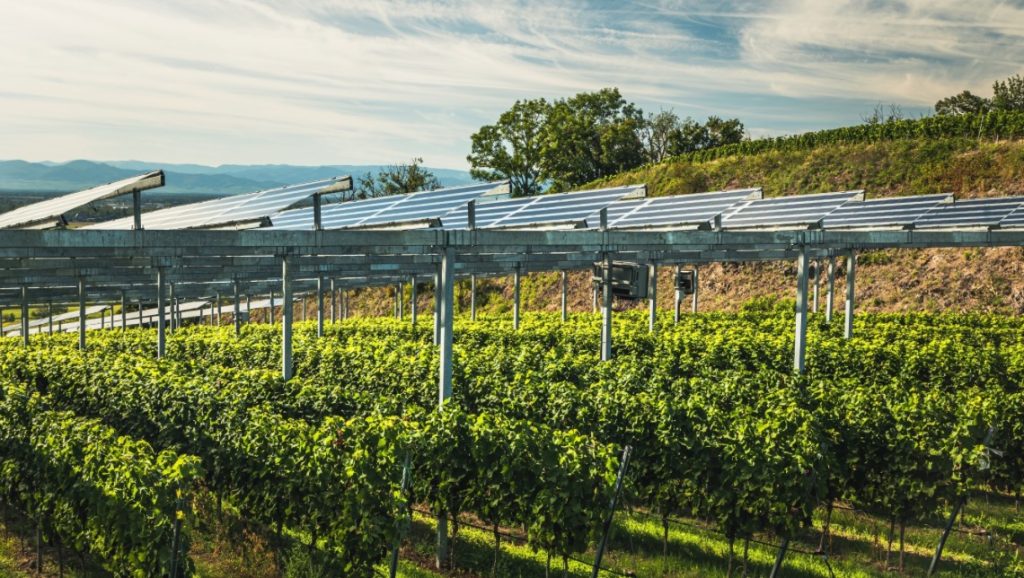 Eurecat impulsa la agrivoltaica noticias maquinaria