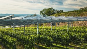 Eurecat impulsa la agrivoltaica noticias maquinaria