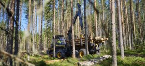 Ponsse amplía su gama forestal con nuevas versiones Scorpion y Wisent noticias maquinaria