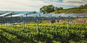 Eurecat participa en el proyecto TECSOL-FRUT noticIas maquinaria